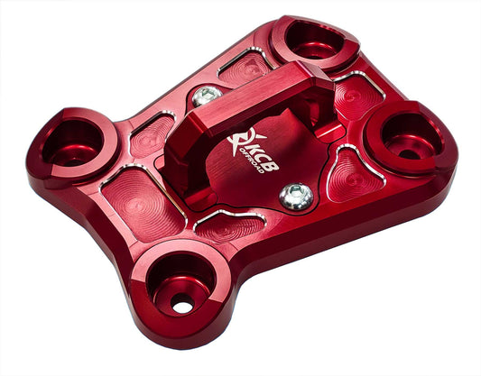Polaris RZR Pro R/Turbo R Rear Plate with D-Ring and Insert