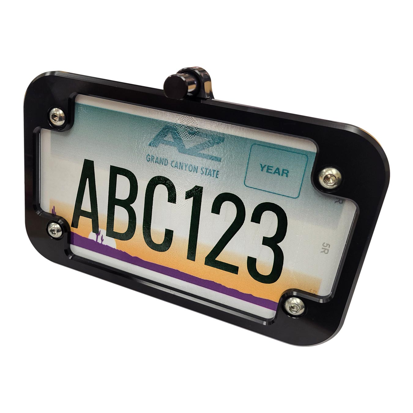 UTV License Plate Holder with LED Light
