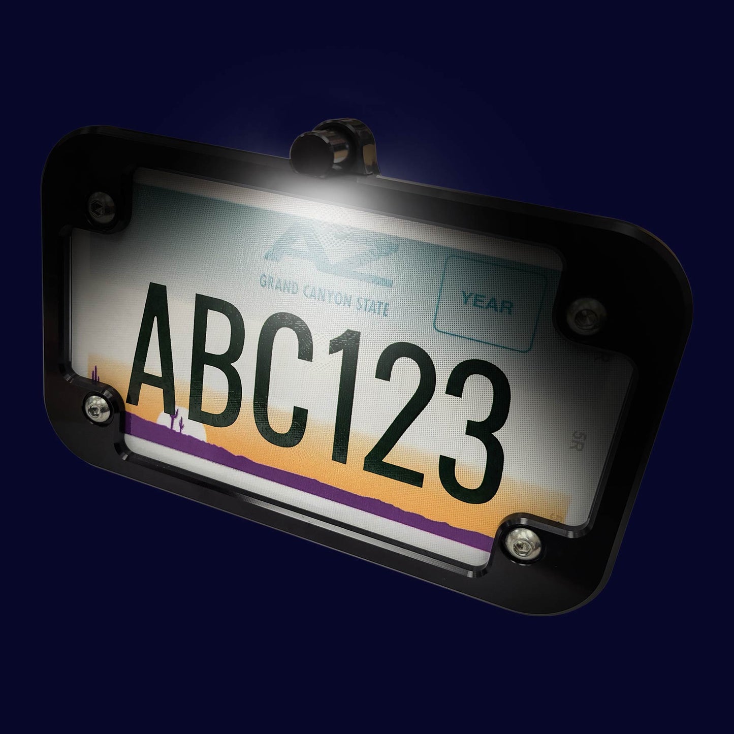 UTV License Plate Holder with LED Light